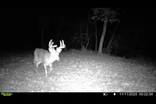 2540 18th Ave, Quincy, WI 53934 - Photo 42