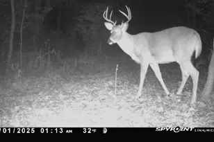 2540 18th Ave, Quincy, WI 53934 - Photo 40