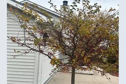 7765 S Mission Dr, Franklin, WI 53132 - Photo 48