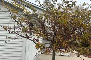 7765 S Mission Dr, Franklin, WI 53132 - Photo 48