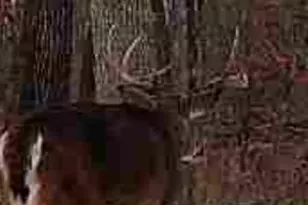 26766 Co Hwy DD, Rockbridge, WI 53581 - Photo 20