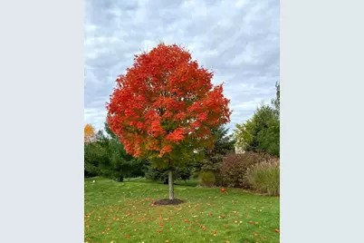 W283N6297  Hibritten Way, Hartland, WI 53029 - Photo 48