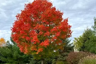 W283N6297 Hibritten Way, Hartland, WI 53029 - Photo 48