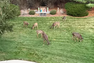 762 N Forest Ridge Ct, Summit, WI 53066 - Photo 28