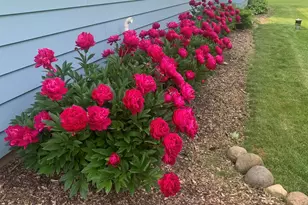 6349 Nabob Dr, West Bend, WI 53095 - Photo 4