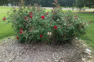 6349 Nabob Dr, West Bend, WI 53095 - Photo 24