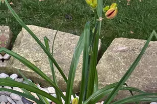 139 Legend Ct, Wales, WI 53183 - Photo 30