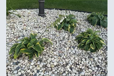 139  Legend Ct, Wales, WI 53183 - Photo 90