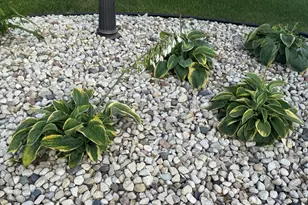 139 Legend Ct, Wales, WI 53183 - Photo 90