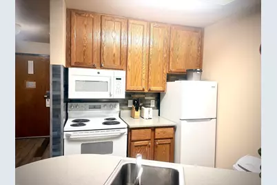 111  Center St #459, Lake Geneva, WI 53147 - Photo 4