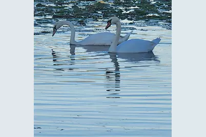 7715 W Wind Lake Rd, Racine, WI 53185 - Photo 50