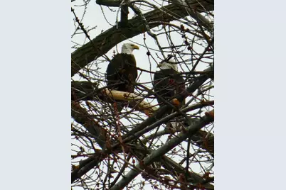 7715 W Wind Lake Rd, Racine, WI 53185 - Photo 46