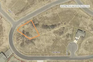 152 Sunflower St, Westby, WI 54667 - Photo 42