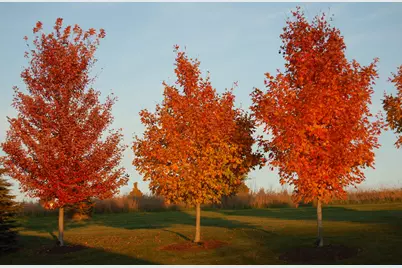 1196  Mary Hill Cir, Hartland, WI 53029 - Photo 52