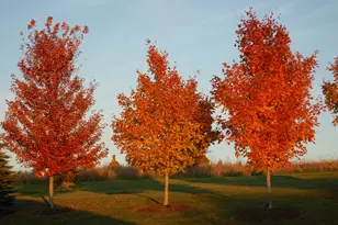 1196 Mary Hill Cir, Hartland, WI 53029 - Photo 52