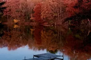 W335N5392 Wedgewood Dr, Merton, WI 53058 - Photo 60