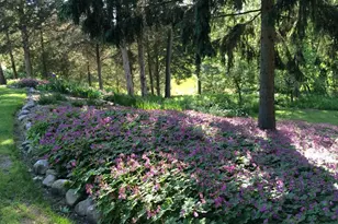 W335N5392 Wedgewood Dr, Merton, WI 53058 - Photo 62