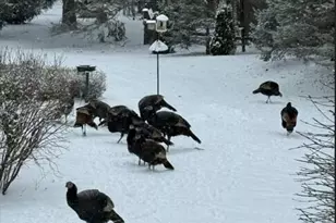 15245 W Woodland Dr, New Berlin, WI 53151 - Photo 56