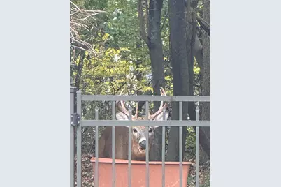 15245 W Woodland Dr, New Berlin, WI 53151 - Photo 66