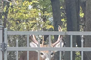 15245 W Woodland Dr, New Berlin, WI 53151 - Photo 66