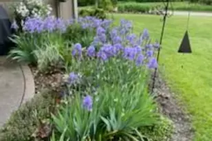 3265 San Juan Trail, Brookfield, WI 53005 - Photo 30