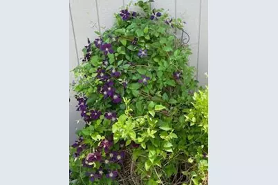 3265  San Juan Trl, Brookfield, WI 53005 - Photo 44