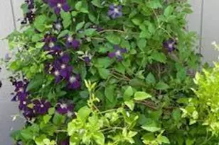 3265 San Juan Trail, Brookfield, WI 53005 - Photo 44