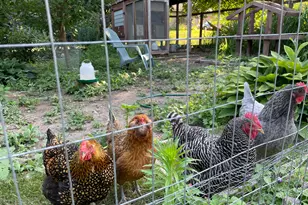 1746 Malibu Dr, Cedarburg, WI 53012 - Photo 46