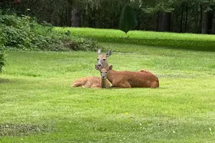 1746 Malibu Dr, Cedarburg, WI 53012 - Photo 58