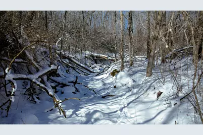 Lt0  Cth Xx -, Jefferson, WI 54665 - Photo 10