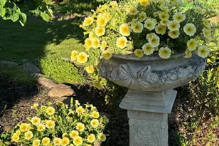 S74W14303 Settler Way, Muskego, WI 53150 - Photo 52