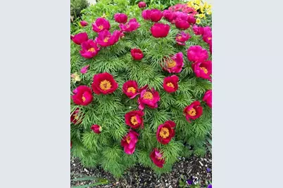 S74W14303  Settler Way, Muskego, WI 53150 - Photo 58