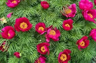 S74W14303 Settler Way, Muskego, WI 53150 - Photo 58