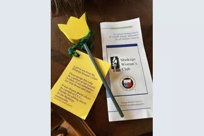 S74W14303  Settler Way, Muskego, WI 53150 - Photo 48