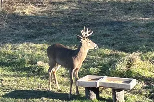 355 Havenwood Dr, Lake Geneva, WI 53147 - Photo 24