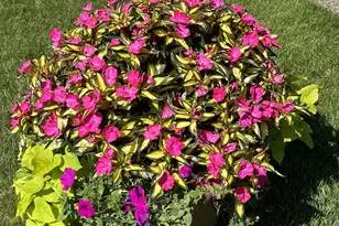 8420 22nd Ave, Kenosha, WI 53143 - Photo 36