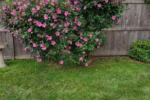 8420 22nd Ave, Kenosha, WI 53143 - Photo 40