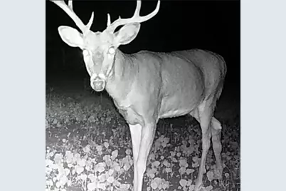 311 S Lapham Peak Rd, Delafield, WI 53018 - Photo 34