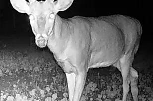 311 S Lapham Peak Rd, Delafield, WI 53018 - Photo 34