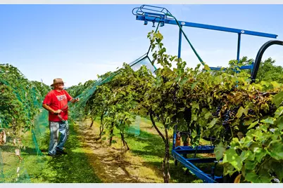 8520  Gass Lake Rd, Newton, WI 53063 - Photo 10