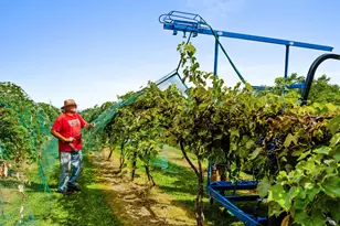 8520 Gass Lake Rd, Newton, WI 53063 - Photo 10