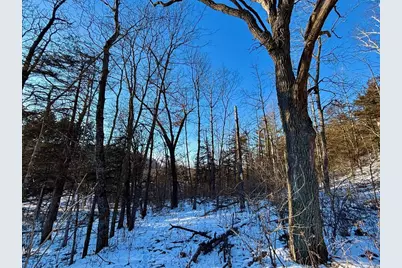 28890  County 25 -, Rushford, MN 55962 - Photo 66