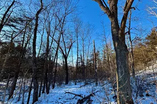 28890 County 25 -, Rushford, MN 55962 - Photo 66