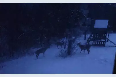 28890  County 25 -, Rushford, MN 55962 - Photo 60