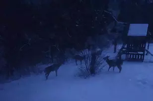 28890 County 25 -, Rushford, MN 55962 - Photo 60