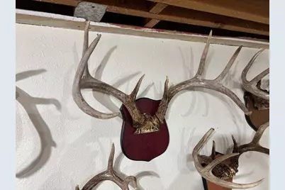 28890  County 25 -, Rushford, MN 55962 - Photo 46