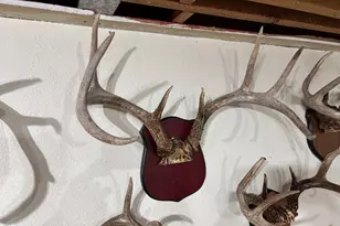 28890 County 25 -, Rushford, MN 55962 - Photo 46