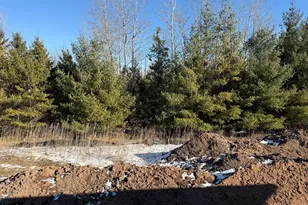 168 Wild Goose Ln, Sheboygan Falls, WI 53085 - Photo 2