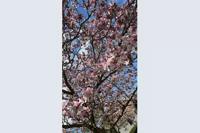 3326  Monarch Dr, Racine, WI 53406 - Photo 44