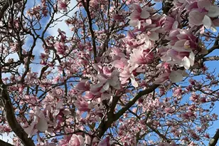 3326 Monarch Dr, Racine, WI 53406 - Photo 44